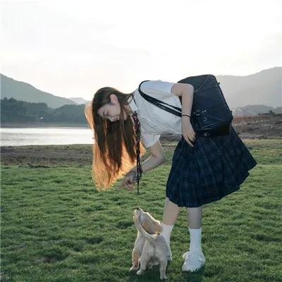 白骆驼
